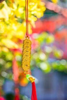 xóc đĩa di động Sodo